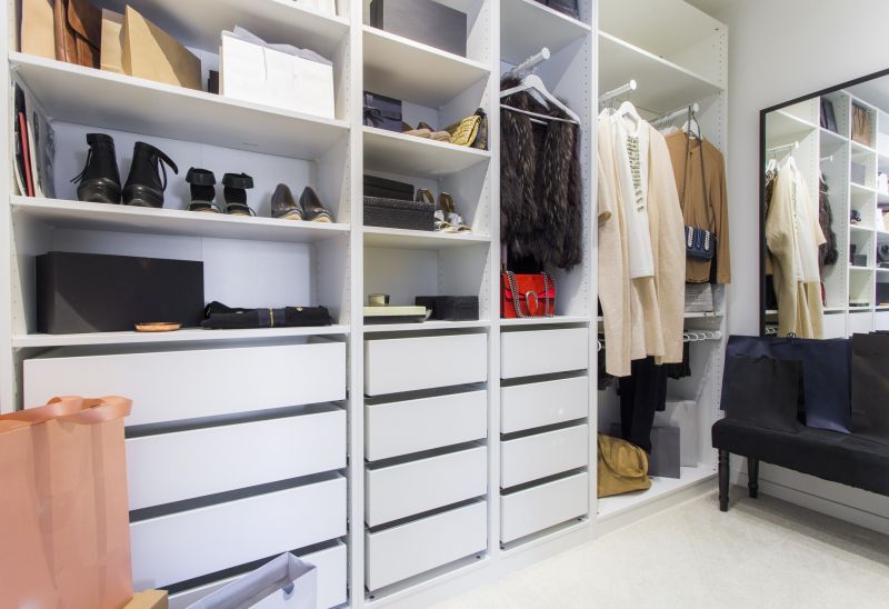 Walk-In Closet Organization Installation Design Trends